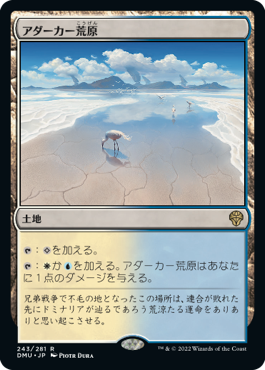 [243]【JP】アダーカー荒原/Adarkar Wastes【DMU】[R][土地]