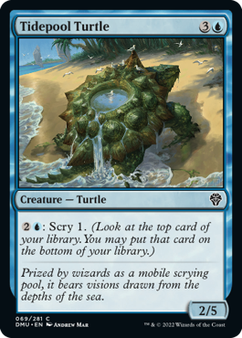 [069]【EN】潮溜まりの亀/Tidepool Turtle【DMU】[C][青]