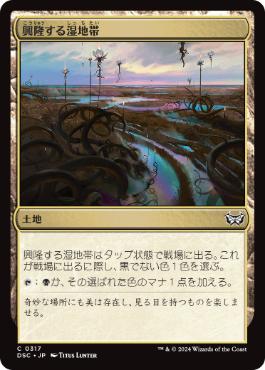 [317]【JP】興隆する湿地帯/Thriving Moor【DSC】[C][土地]