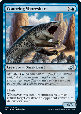 [064]【EN】【FOIL】飛びかかる岸鮫/Pouncing Shoreshark【IKO】[U][青]