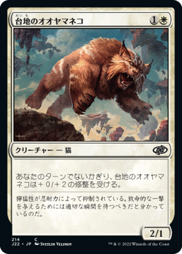 [214]【JP】台地のオオヤマネコ/Mesa Lynx【J22】[C][白]