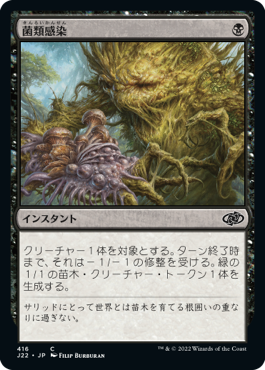 [416]【JP】菌類感染/Fungal Infection【J22】[C][黒]