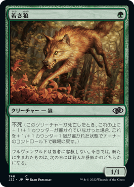 [746]【JP】若き狼/Young Wolf【J22】[C][緑]