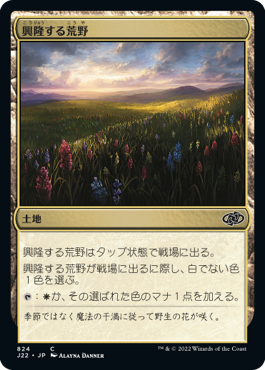 [824]【JP】興隆する荒野/Thriving Heath【J22】[C][土地]