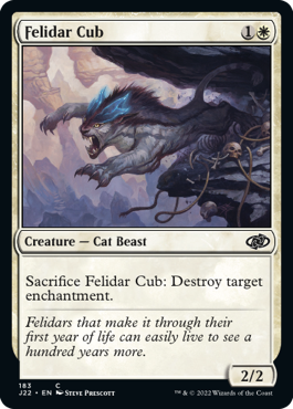 [183]【EN】フェリダーの仔/Felidar Cub【J22】[C][白]