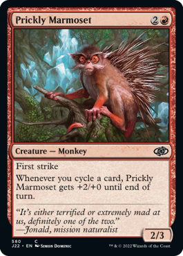 [580]【EN】トゲマーモセット/Prickly Marmoset【J22】[C][赤]