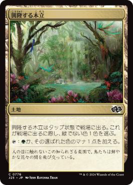 [776]【JP】興隆する木立/Thriving Grove【J25】[C][土地]