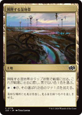 [779]【JP】興隆する湿地帯/Thriving Moor【J25】[C][土地]