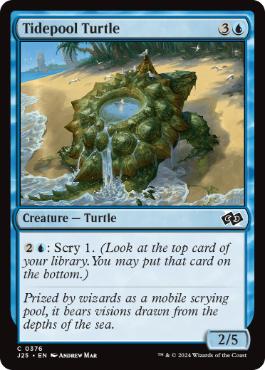 [376]【EN】潮溜まりの亀/Tidepool Turtle【J25】[C][青]