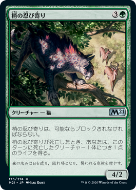[175]【JP】【FOIL】梢の忍び寄り/Canopy Stalker【M21】[U][緑]