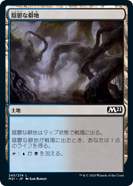 [245]【JP】【FOIL】陰鬱な僻地/Dismal Backwater【M21】[C][土地]