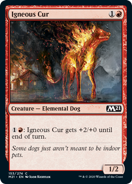 [153]【EN】【FOIL】炎血の野犬/Igneous Cur【M21】[C][赤]