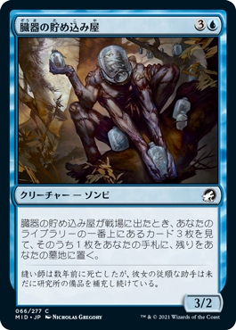 [066]【JP】【FOIL】臓器の貯め込み屋/Organ Hoarder【MID】[C][青]