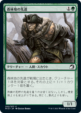 [202]【JP】【FOIL】森林地の先達/Timberland Guide【MID】[C][緑]