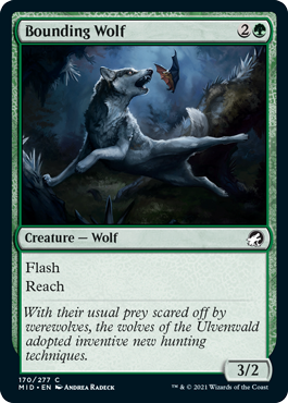 [170]【EN】【FOIL】跳ねる狼/Bounding Wolf【MID】[C][緑]