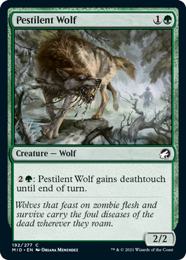 [192]【EN】【FOIL】伝染病の狼/Pestilent Wolf【MID】[C][緑]