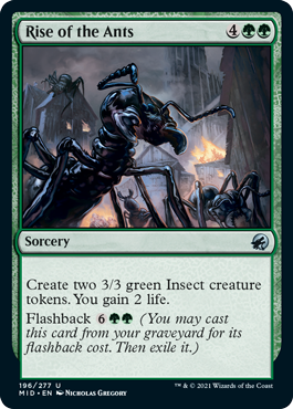 [196]【EN】【FOIL】蟻の隆盛/Rise of the Ants【MID】[U][緑]