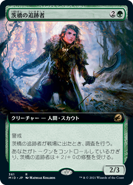 [361]【JP】【FOIL】■拡張アート■茨橋の追跡者/Briarbridge Tracker【MID】[R][緑]