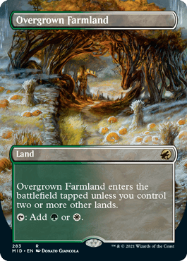 [283]【EN】【FOIL】■ボーダーレス■草茂る農地/Overgrown Farmland【MID】[R][土地]