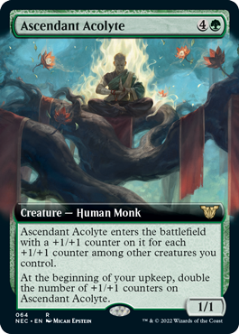 [064]【EN】■拡張アート■隆盛する侍僧/Ascendant Acolyte【NEC】[R][緑]