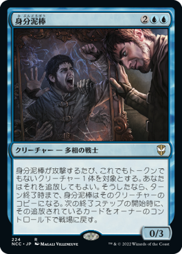 [224]【JP】身分泥棒/Identity Thief【NCC】[R][青]
