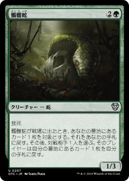 [207]【JP】髑髏蛇/Skullwinder【OTC】[U][緑]