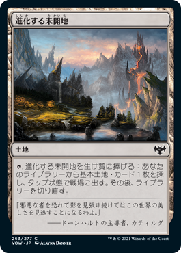 [263]【JP】進化する未開地/Evolving Wilds【VOW】[C][土地]