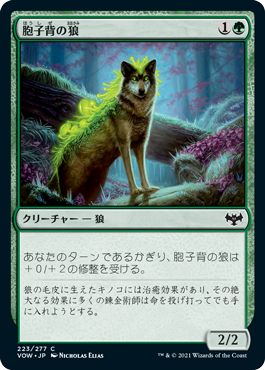 [223]【JP】【FOIL】胞子背の狼/Sporeback Wolf【VOW】[C][緑]