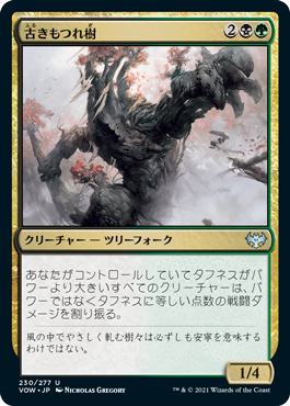 [230]【JP】【FOIL】古きもつれ樹/Ancient Lumberknot【VOW】[U][多色]