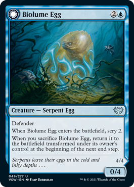 [049]【EN】生物光の卵/Biolume Egg【VOW】[U][青]