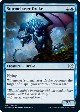 [082]【EN】嵐追いのドレイク/Stormchaser Drake【VOW】[U][青]