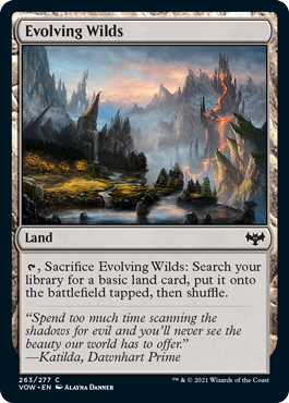 [263]【EN】進化する未開地/Evolving Wilds【VOW】[C][土地]