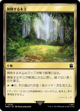 [325]【JP】興隆する木立/Thriving Grove【WHO】[C][土地]