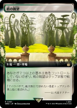 [481]【JP】【FOIL】■拡張アート■梢の眺望/Canopy Vista【WHO】[R][土地]