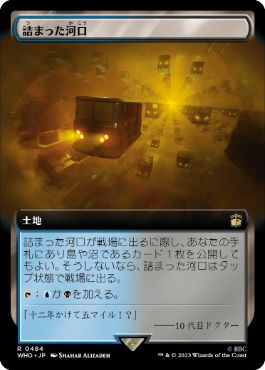 [484]【JP】【FOIL】■拡張アート■詰まった河口/Choked Estuary【WHO】[R][土地]