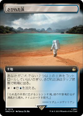 [1079]【JP】【サージFOIL】■拡張アート■さびれた浜/Deserted Beach【WHO】[R][土地]