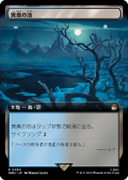 [494]【JP】【FOIL】■拡張アート■異臭の池/Fetid Pools【WHO】[R][土地]