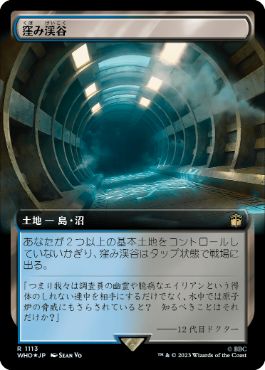 [1113]【JP】【サージFOIL】■拡張アート■窪み渓谷/Sunken Hollow【WHO】[R][土地]