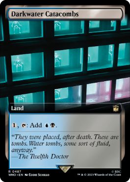 [487]【EN】【FOIL】■拡張アート■ダークウォーターの地下墓地/Darkwater Catacombs【WHO】[R][土地]