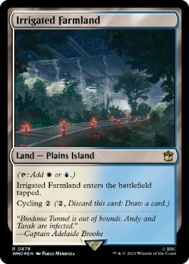 [879]【EN】【サージFOIL】灌漑農地/Irrigated Farmland【WHO】[R][土地]