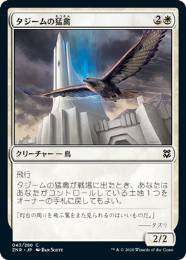 [043]【JP】【FOIL】タジームの猛禽/Tazeem Raptor【ZNR】[C][白]