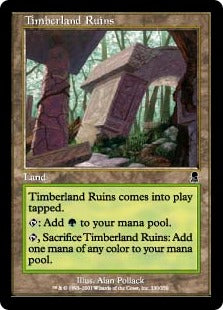 [330]【EN】森林地の廃墟/Timberland Ruins【ODY】[C][土地]