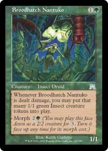 [250]【EN】【FOIL】大群を産むナントゥーコ/Broodhatch Nantuko【ONS】[U][緑]