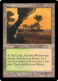 [328]【EN】【FOIL】吹きさらしの荒野/Windswept Heath【ONS】[R][土地]