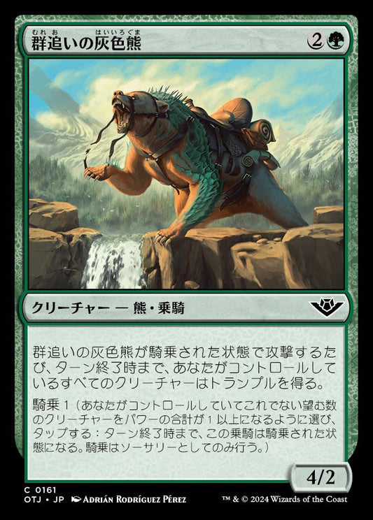 [161]【JP】群追いの灰色熊/Drover Grizzly【OTJ】[C][緑]
