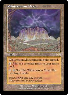 [143]【EN】【FOIL】冬月台地/Wintermoon Mesa【PCY】[R][土地]