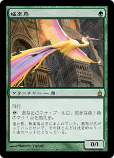 [153]【JP】極楽鳥/Birds of Paradise【RAV】[R][緑]