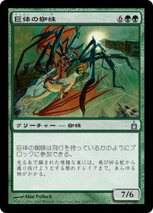 [168]【JP】【FOIL】巨体の蜘蛛/Goliath Spider【RAV】[U][緑]