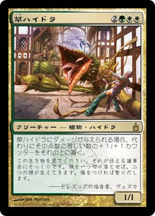 [227]【JP】草ハイドラ/Phytohydra【RAV】[R][多色]