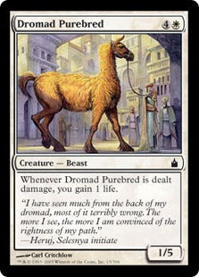 [015]【EN】【FOIL】ドローマッドの純血種/Dromad Purebred【RAV】[C][白]